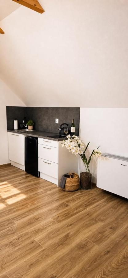Apartmán Javor — kuchyňský kout s lednicí, varnou deskou a konvicí